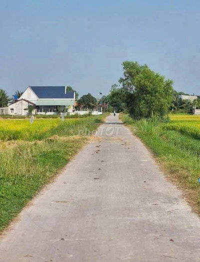 Đất nền giá rẻ, ngay gần cầu thầy cai củ chi.