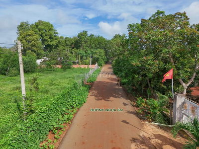 Bán 5 lô liền kề đường nhựa, cách TL328 100m, xã Hòa Hưng, Xuyên Mộc