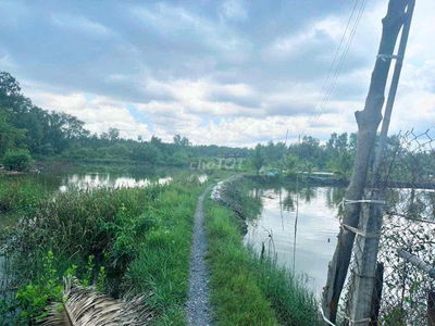 Cần bán  lô đất 3,7 sào đất lúa  gần UBND xã Tân Chánh