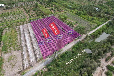 545m Đất Vườn Cho Lên Thổ Giá Đầu Tư