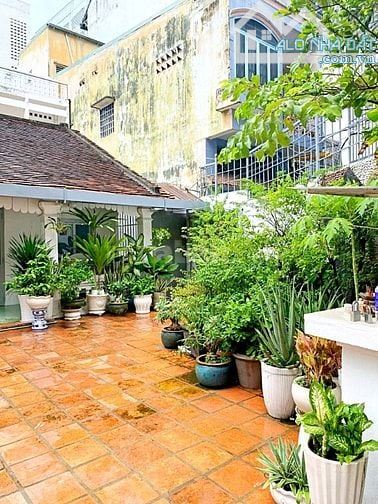 Cơ hội sở hữu nhà hẻm 138/9 Bùi Thị Xuân, Quận 1 250m2 vị trí đắc địa, giá trị tăng trưởng