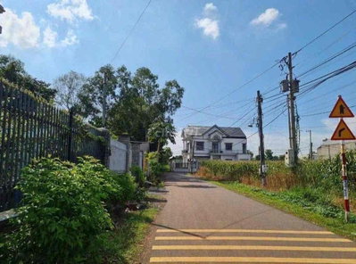khu cây xanh vỉa hè nhựa thông ấp 5 sông trầu