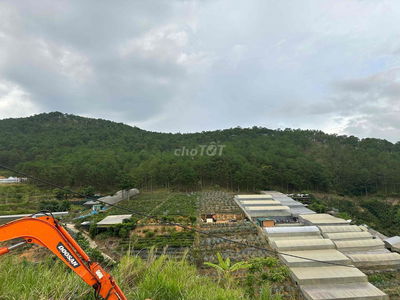 BÁN 552m đât đường Hùng Vương , Phường 11 , Đà Lạt
