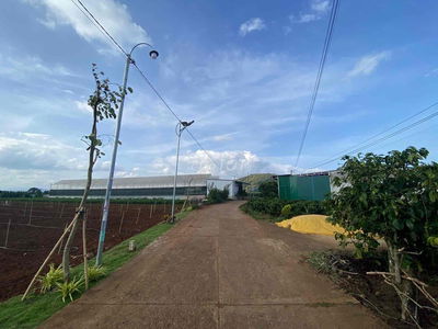 ĐẤT ĐẸP TÂN HỘI – ĐỨC TRỌNG-LÂM ĐỒNG
