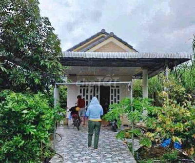 Chính chủ cần bán gấp lô nhà vườn