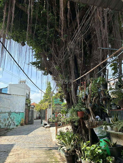 Cho thuê nhà nguyên căn Phạm Hữu Lầu hxh có sân