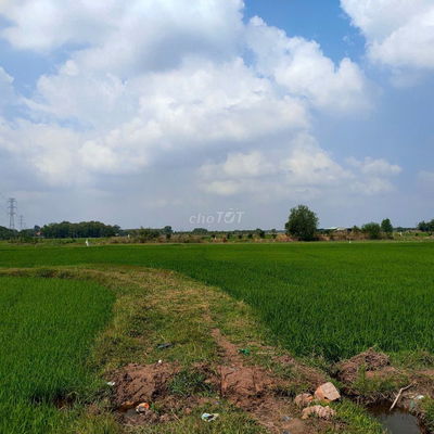 Ngộp giá sốc! lô đất 2 MT đường đất và kênh, 1.760m2 đất vườn, QH KDC