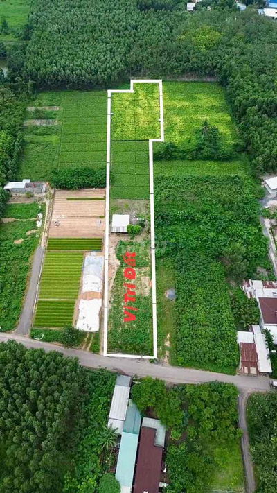 BÁN ĐẤT XÃ ĐỒI 61,TRẢNG BOM