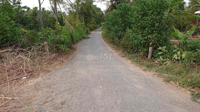 cần bán 500