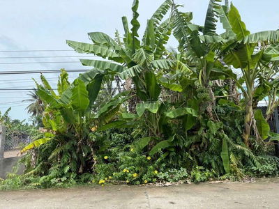 Nền Biệt Thự Xã Hồ Đắc Kiện, Châu Thành, Sóc Trăng