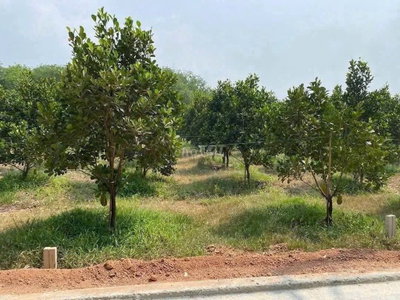 CHỦ GỬI BÁN GẤP LÔ ĐẤT 600M2, MT ĐƯỜNG HUYỆN 507, SỔ RIÊNG GIÁ 580TR