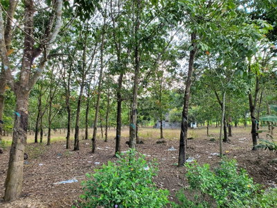 Cần bán 2.85ha đất xã Xuân Thành, huyện Xuân Lộc, Đồng Nai