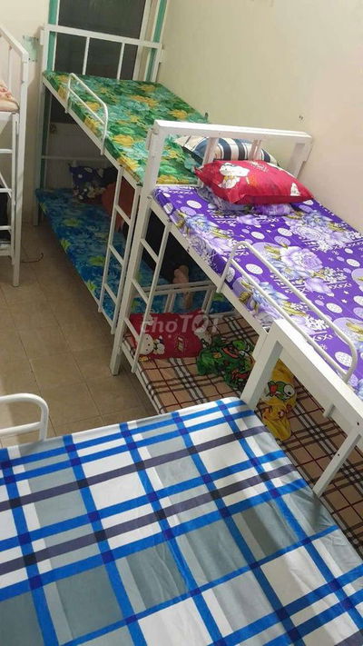 Cho Thuê Phòng Trọ Ở Ghép Homestay Giường tầng