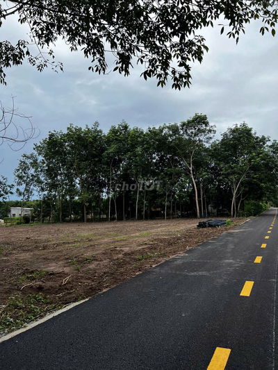 Cần bán gấp lô đất 200m² có 100m thổ cư, đất giáp KCN, cách DT741 300m