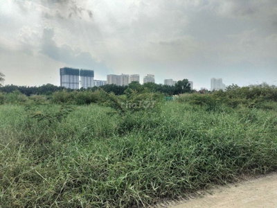 Cho thuê đất vườn Nhà Bè