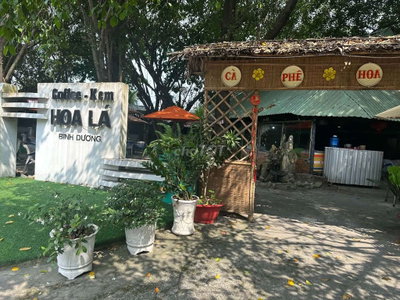 Sang quán cafe sân vườn Hoa Lá
