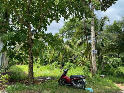 đất mặt tiền lộ bờ đắp cách nguyễn thị định 30m