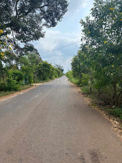 SỔ RIÊNG THỔ CƯ MẶT TIỀN NHỰA 7m - CÁCH CHỢ ĐÚNG 300M