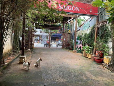 ✅ Cho Thuê MBKD Sân Vườn 627m2 Đường Nguyễn Thị Thập_Quận 7
