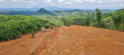 6,5 Hecta đất view đỉnh xã Dakha DakGlong Daknông 1,75ty