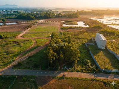 Siêu Phẩm Đầu Tư Đất Đỏ: 976m² Mặt Tiền Đường - SHR - Đón Đầu QH KCN