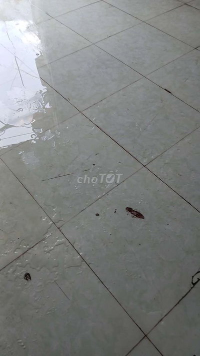 chính chủ cân cho thuê kho giá tôt