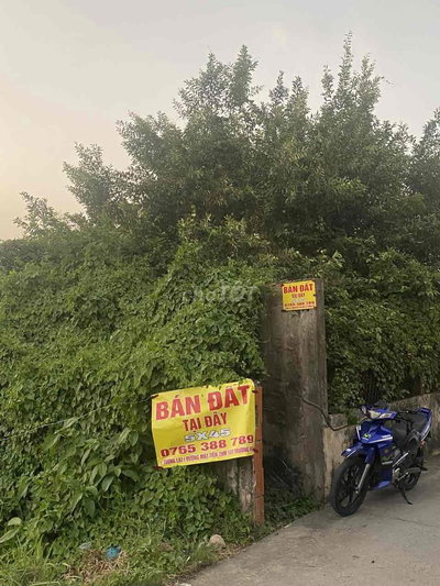 Bán Đất Hoàng Phan Thái Bình Chánh  ( TL Trường Học sát bên đường 20m