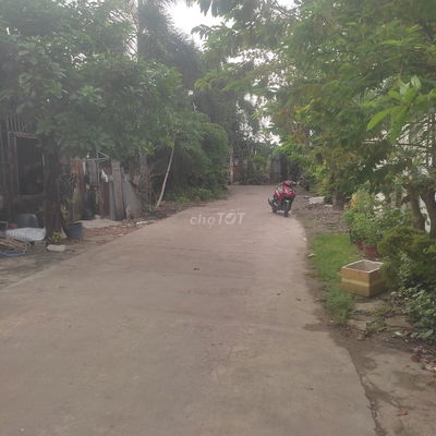 Bán nhà đất 8*15m hẻm đẹp 7m. Trần Thị Bốc. Gần Quang Trung