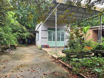 Chủ chuyển chỗ làm cần bán nhanh căn nhà vườn giá 120tr có 30 cây sầu