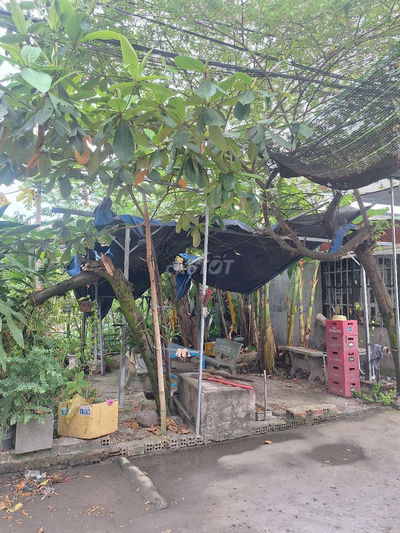 Đất shr tân vĩnh lộc giáp bình tân