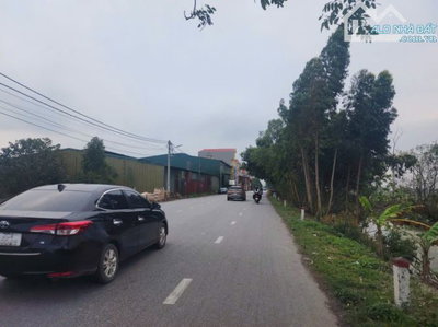 Bán đất đường 286 phong khê DT 135m, MT 5m, Hướng TB, Giá 4,95 tỷ