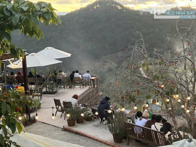 cần bán gấp cụm coffee check-in  Dòng tiền tốt - View đỉnh tại tp Đà Lạt.