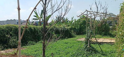 Đất đường Bình Mỹ ô tô thông. Tiện xây nhà vườn.