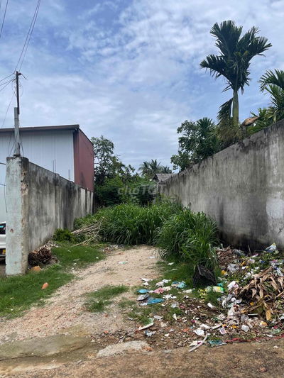 Cơ hội mua đất giá rẻ phường Tân Thành