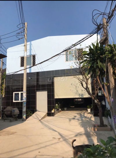 Kho Xưởng kiên cố 500 m2 , Full Thổ Cư , Trần Đại Nghĩa , Bình Chánh .