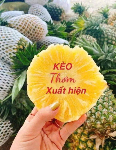 Nhà 100m2 mặt tiền hẻm Bông Sao p5 Q8