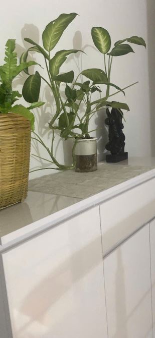 CHO THUÊ NHÀ NGÕ 124 ÂU CƠ-TÂY HỒ- NHÀ 2 TẦNG- 2PN-2WC-ĐỦ ĐỒ CHỈ 8,5TR- Ở NGAY