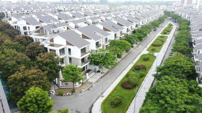 Quỹ căn cho thuê KĐT Dương Nội, nhà hoàn thiện đẹp. Không giới hạn mục đích sử dụng, gần AeolMall