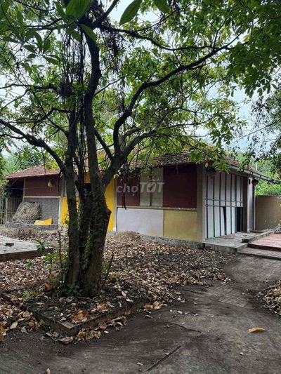 2 mặt tiền 675m buôn bán kinh doanh