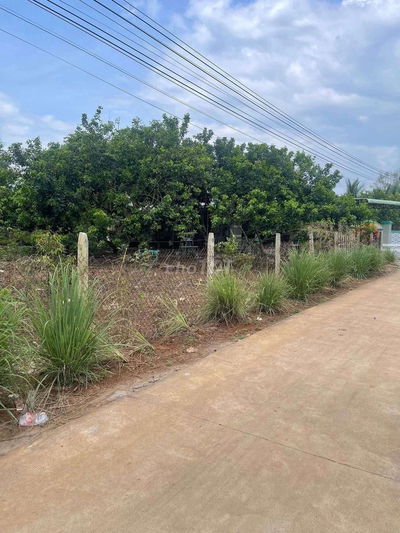 Nền rộng rãi rẻ nhất thị trường