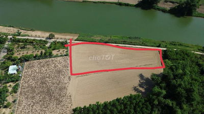 Đất trồng cây hằng năm 1700m2, view sông hòa nhơn, ngang rộng rãi 70m