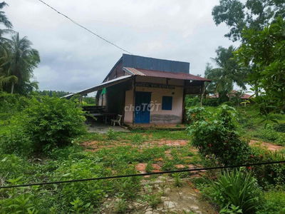 Bán đất chính chủ DT hơn 5000m2.