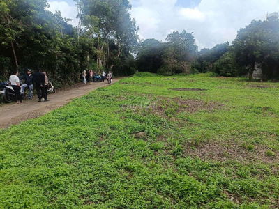 Đất bầu trâm long khánh
