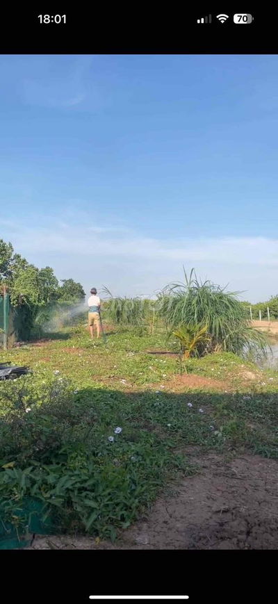 Cần bán 1000m2  đất mặt tiền liên ấp 2-3