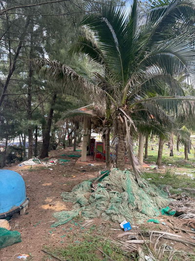 đất biển hoà thắng cách biển 50m