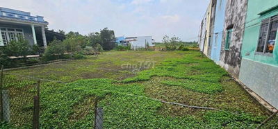 Bán 300m2 thổ cư sổ riêng xã tân kim cần giuộc long an