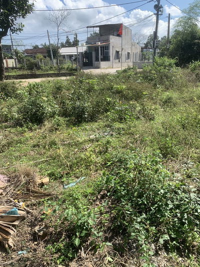 ĐẤT THỔ CƯ  CÓ SỔ ĐỎ HOÀ PHƯỚC  100M2