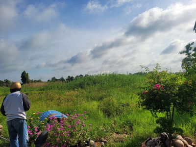 Bán Đất dưỡng già view sông cực đẹp .