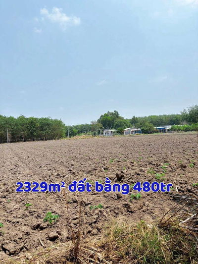 Đất 2MT ngang 58m cách đường lớn 800m dt 2329m2 giá 480tr