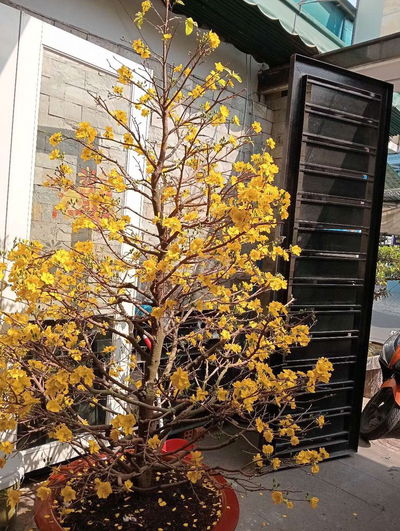 Bán nhà đường Nguyễn Lộ trạch tân quý tân phú